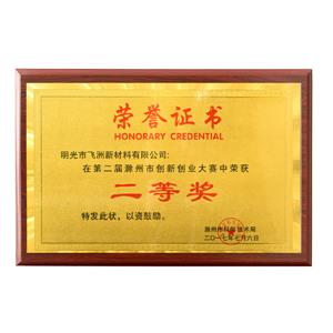 滁州市創新創業2017二等獎